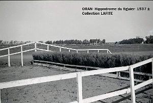 ORAN 1937 HYPPODROME DU FIGIER    (16)